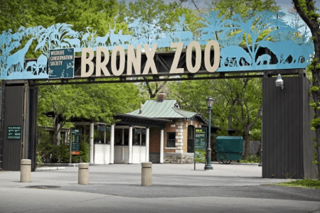 افضل 4 انشطة في حديقة حيوانات برونكس نيويورك امريكا