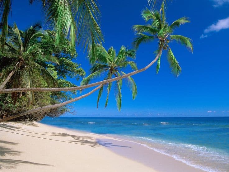 اهم 4 اشياء تشجعك على السياحة في غوا
