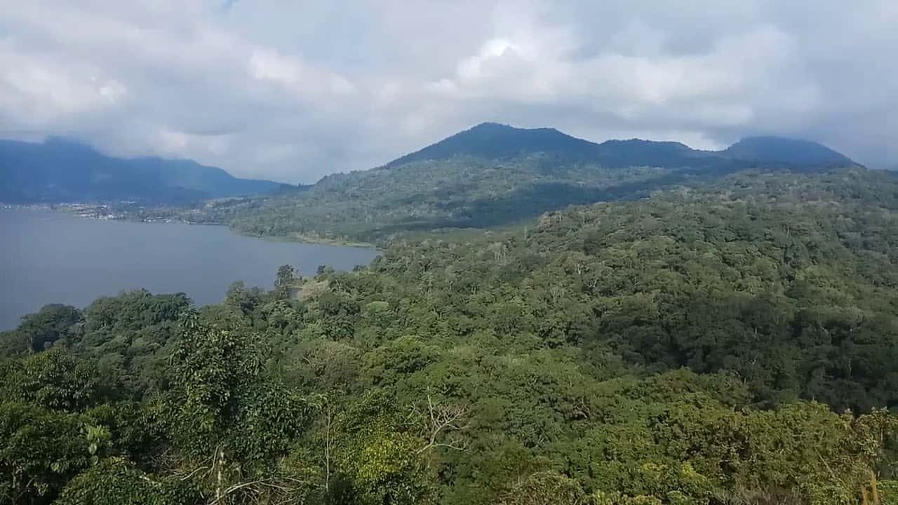 افضل 4 انشطة في غابة القرود اوبود بالي اندونيسيا
