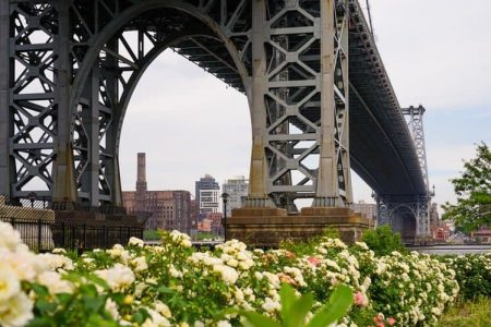 افضل 5 انشطة في حديقة جسر بروكلين نيويورك امريكا