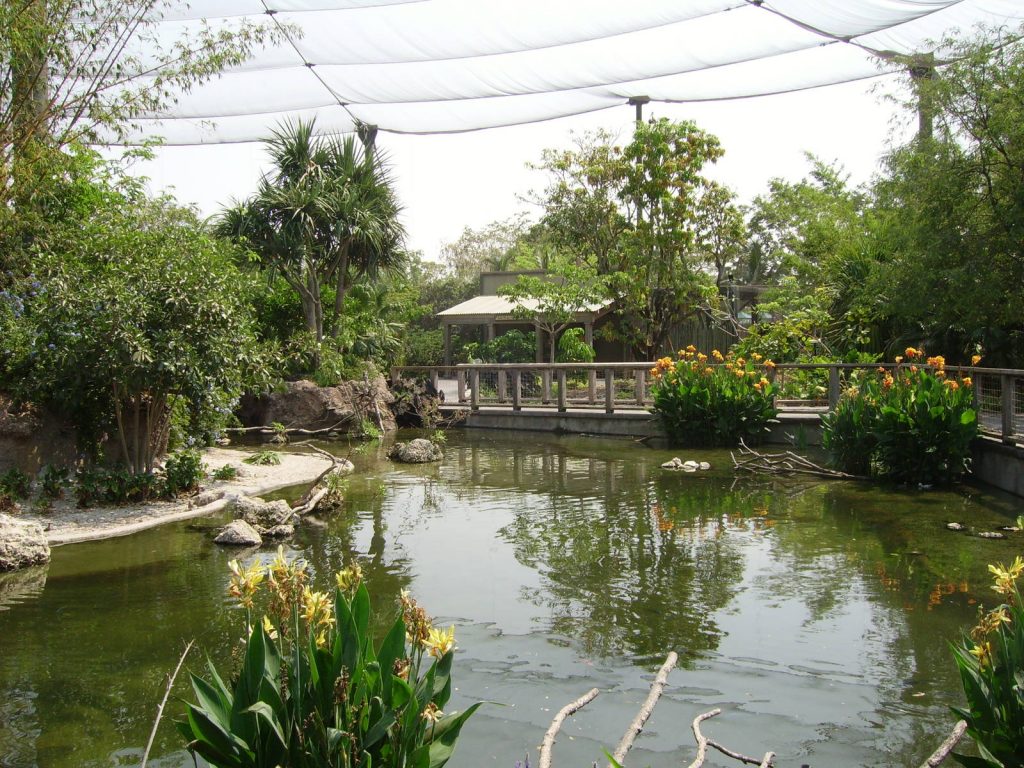 قفص الطيور الأسيوية حديقة حيوان ميامي