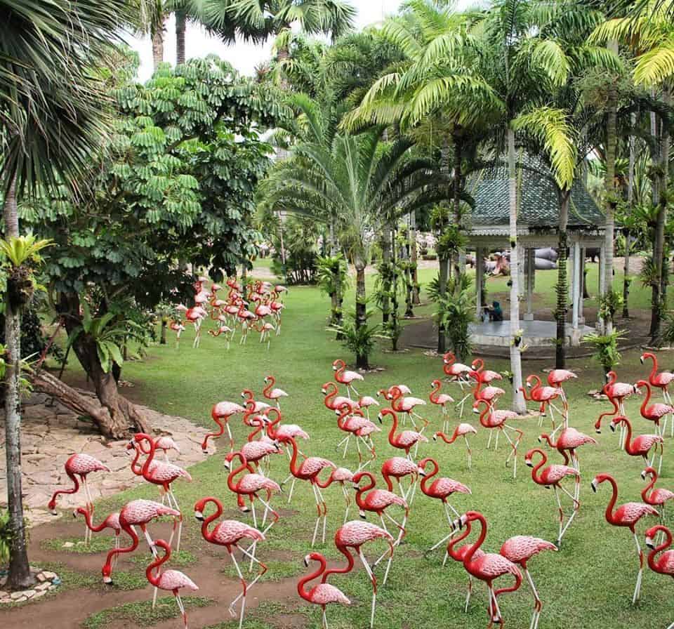 افضل 6 انشطة في حديقة نونغ نوش الاستوائية في بتايا تايلاند