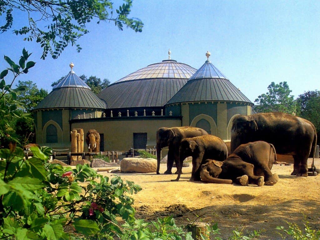 الأفيال في حديقة هيلابرون 