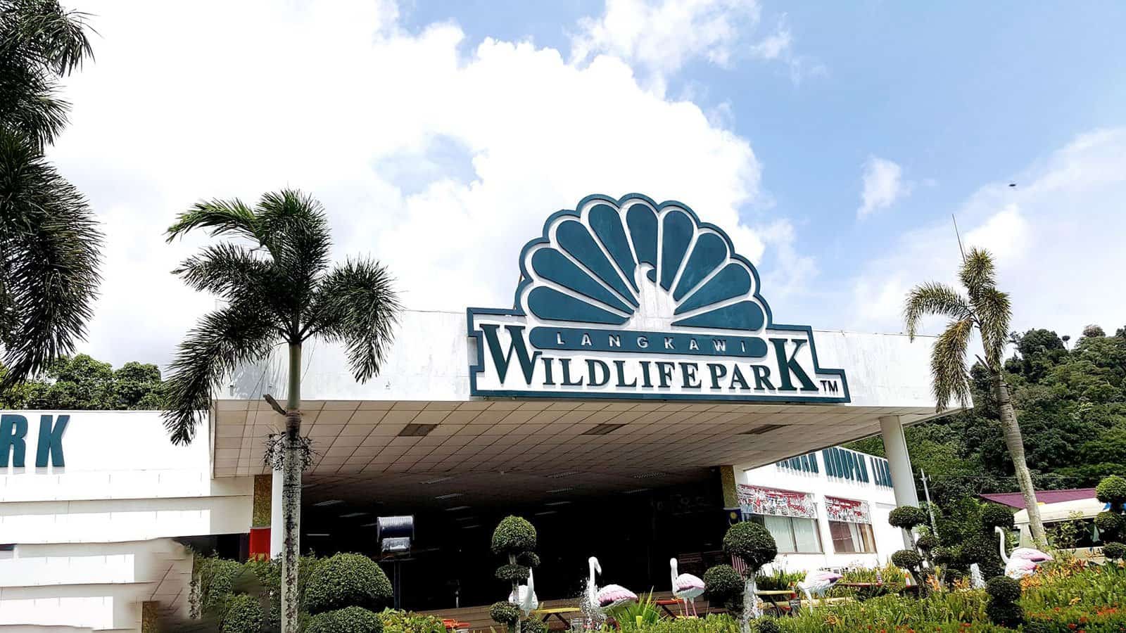 افضل 6 انشطة في حديقة الحياة البرية لنكاوي ماليزيا