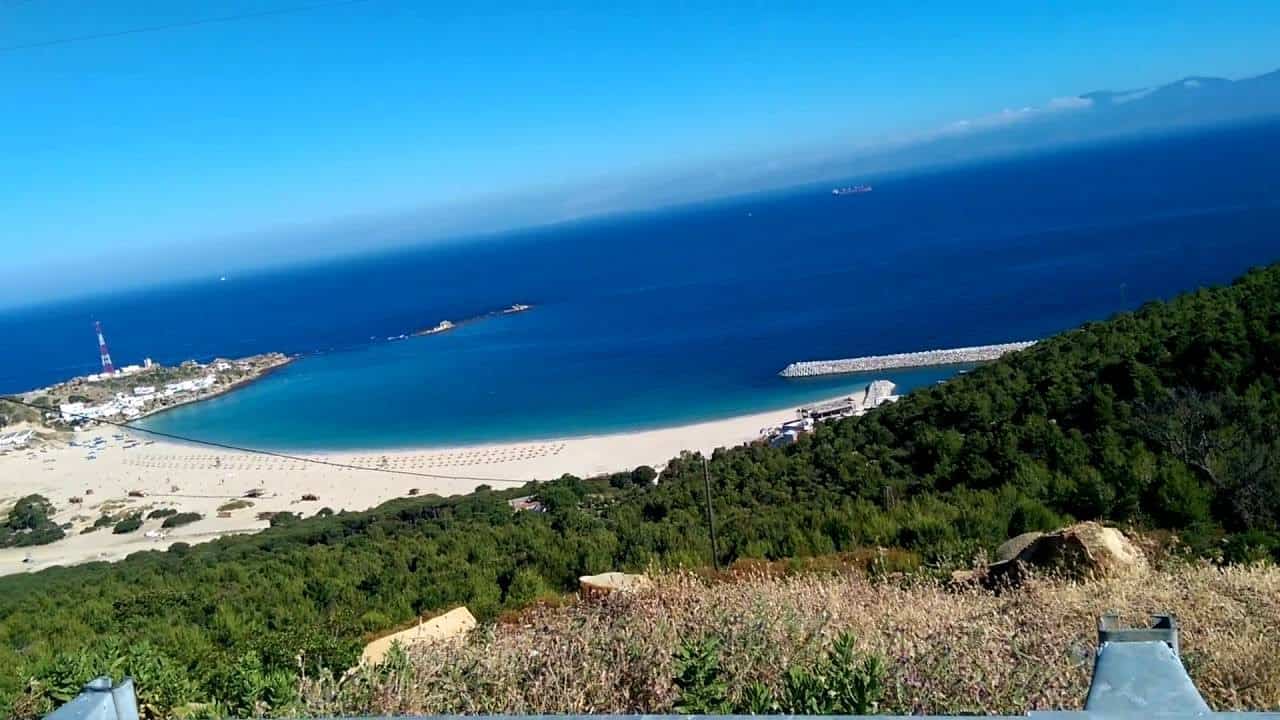 الدالية
