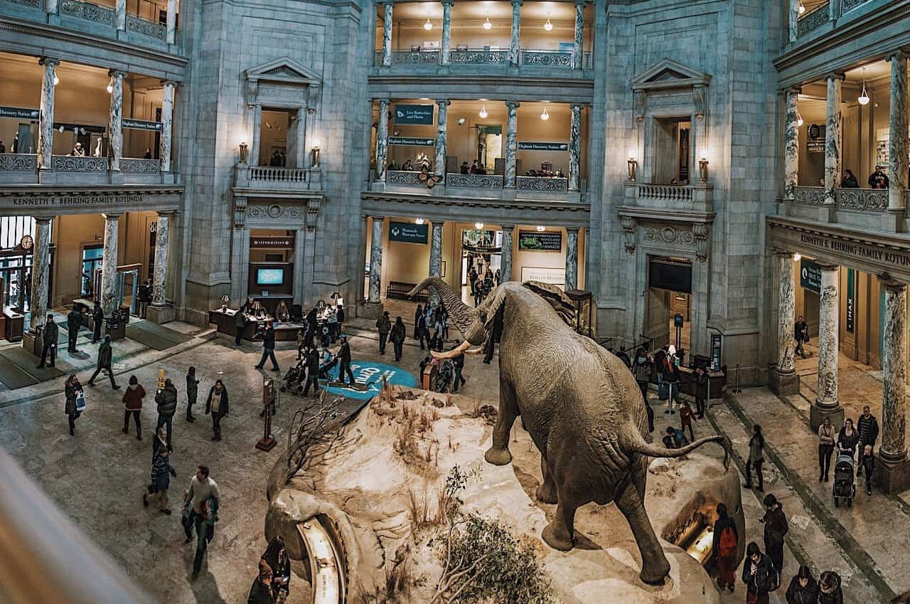 المتحف الوطني للتاريخ الطبيعي واشنطن 