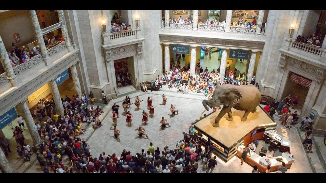 المتحف الوطني للتاريخ الطبيعي واشنطن 