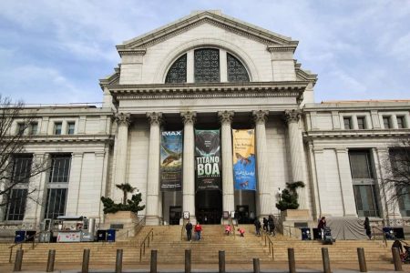 افضل 4 انشطة في المتحف الوطني للتاريخ الطبيعي واشنطن