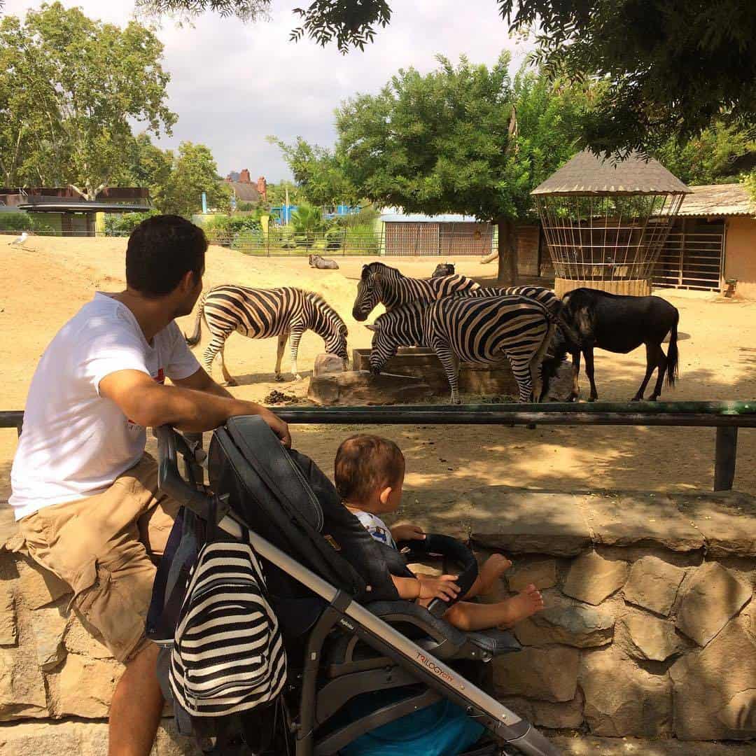حديقة حيوان برشلونة اسبانيا 