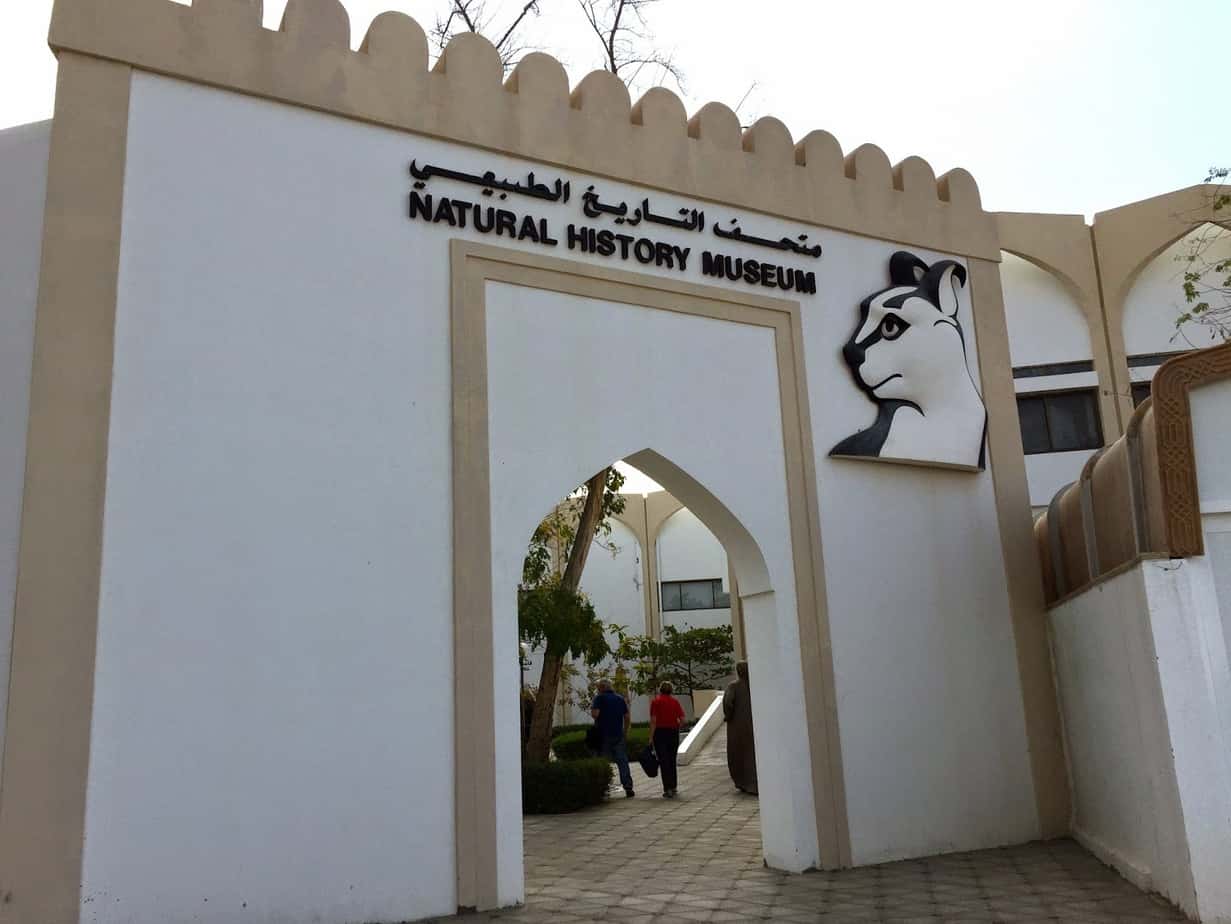 متحف