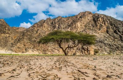 افضل 9 انشطة في محمية وادي الجمال مرسى علم مصر