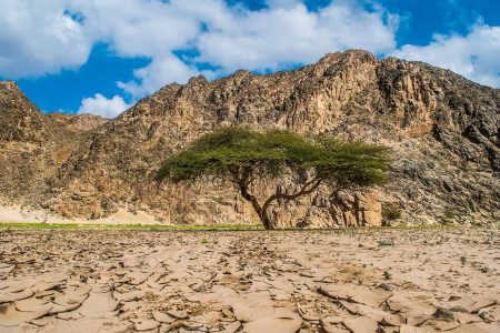 افضل 9 انشطة في محمية وادي الجمال مرسى علم مصر