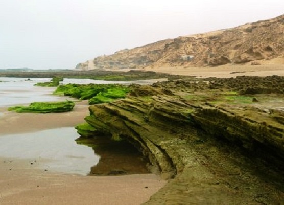 منتزه سوس الوطني