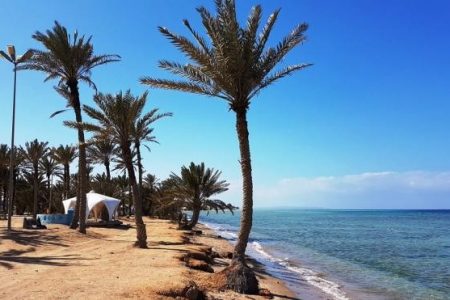 افضل 5 شواطئ السعودية التي ننصحك بزيارتها
