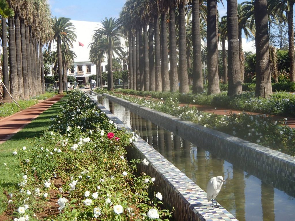 حديقة الجامعة العربية بالدار البيضاء