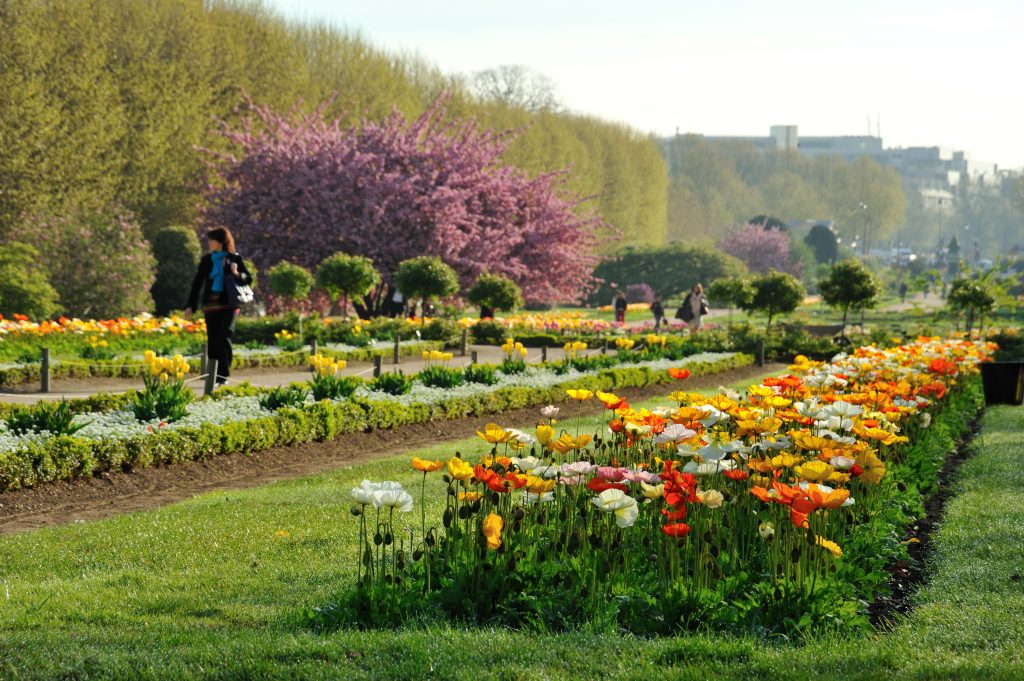 حديقة النباتات في باريس