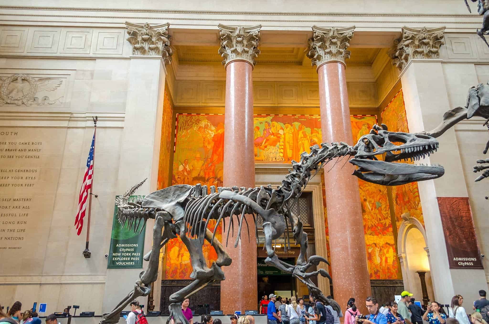 افضل 3 انشطة في المتحف الامريكي للتاريخ الطبيعي نيويورك عطلات