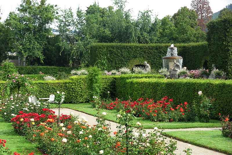 صورة لحديقة الزهور بادن بادن المانيا