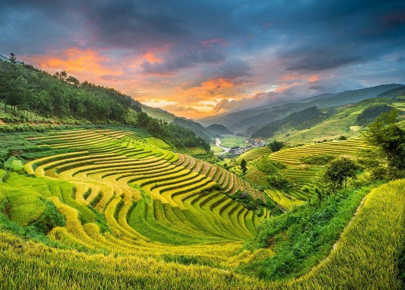 صورة المروج الخضراء في مدينة سابا فيتنام