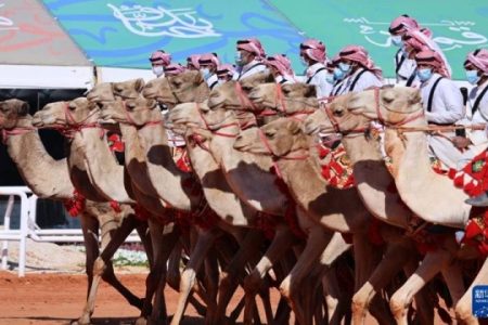 مهرجان الملك عبد العزيز للإبل 2023: اهم الفعاليات والفنادق القريبة منه