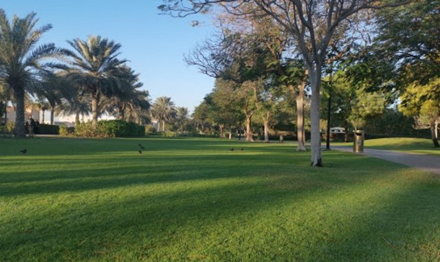 حديقة بحيرة البرشاء دبي