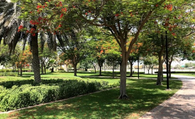 حديقة البرشاء دبي