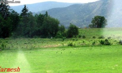 رحلتي الى قارمش