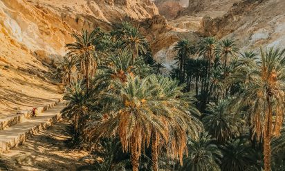 اسأل عن تونس وسوف أجيب