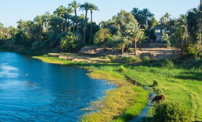 ماهي اجمل القرى الريفية في مصر