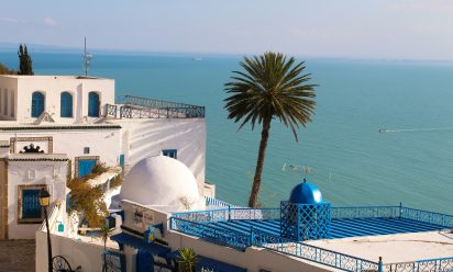 كم تكلفني رحلة تونس؟