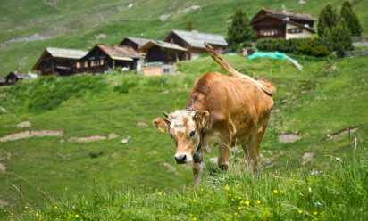 ماهي اقرب منطقه ريفيه سويسريه قريبه من ميونخ