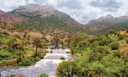 ايهما أفضل الشفاء او الهدا للسكن بالطائف بعد عيد الفطر