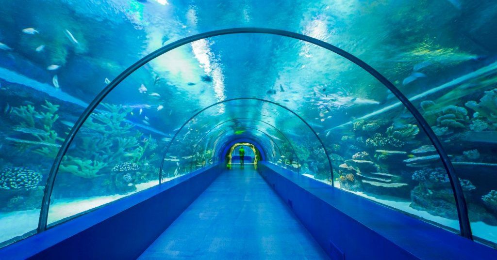 Antalya Aquarium أنطاليا أكوريوم