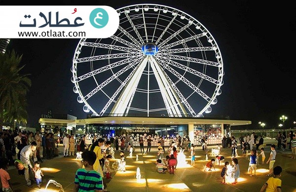 عين القصباء