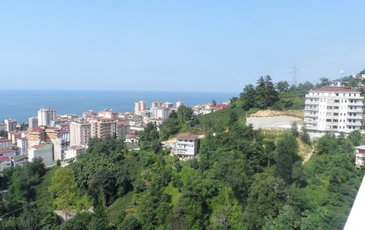 مدينة ريزا 