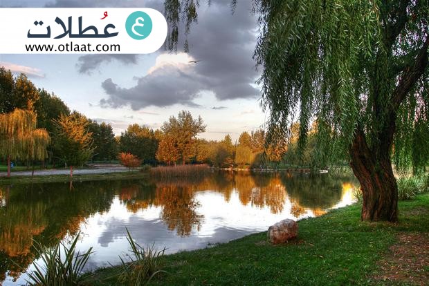 حديقة النباتات